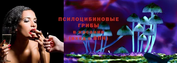 молекула духа Краснослободск