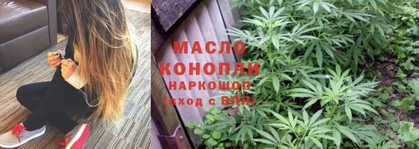 молекула духа Краснослободск