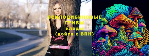 молекула духа Краснослободск