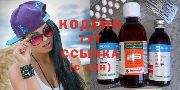 молекула духа Краснослободск