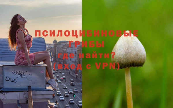 молекула духа Краснослободск